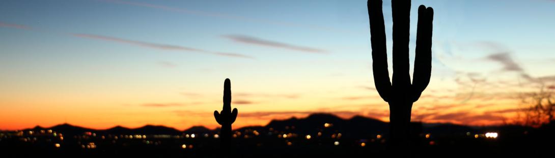 Saguaro-Dusk-66117542_m.jpg