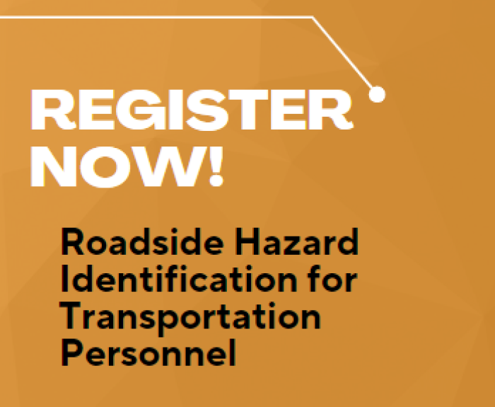 Roadside Hazard